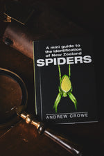 Mini Guide to the Identification of New Zealand Spiders