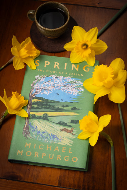 Spring (Hardcover)