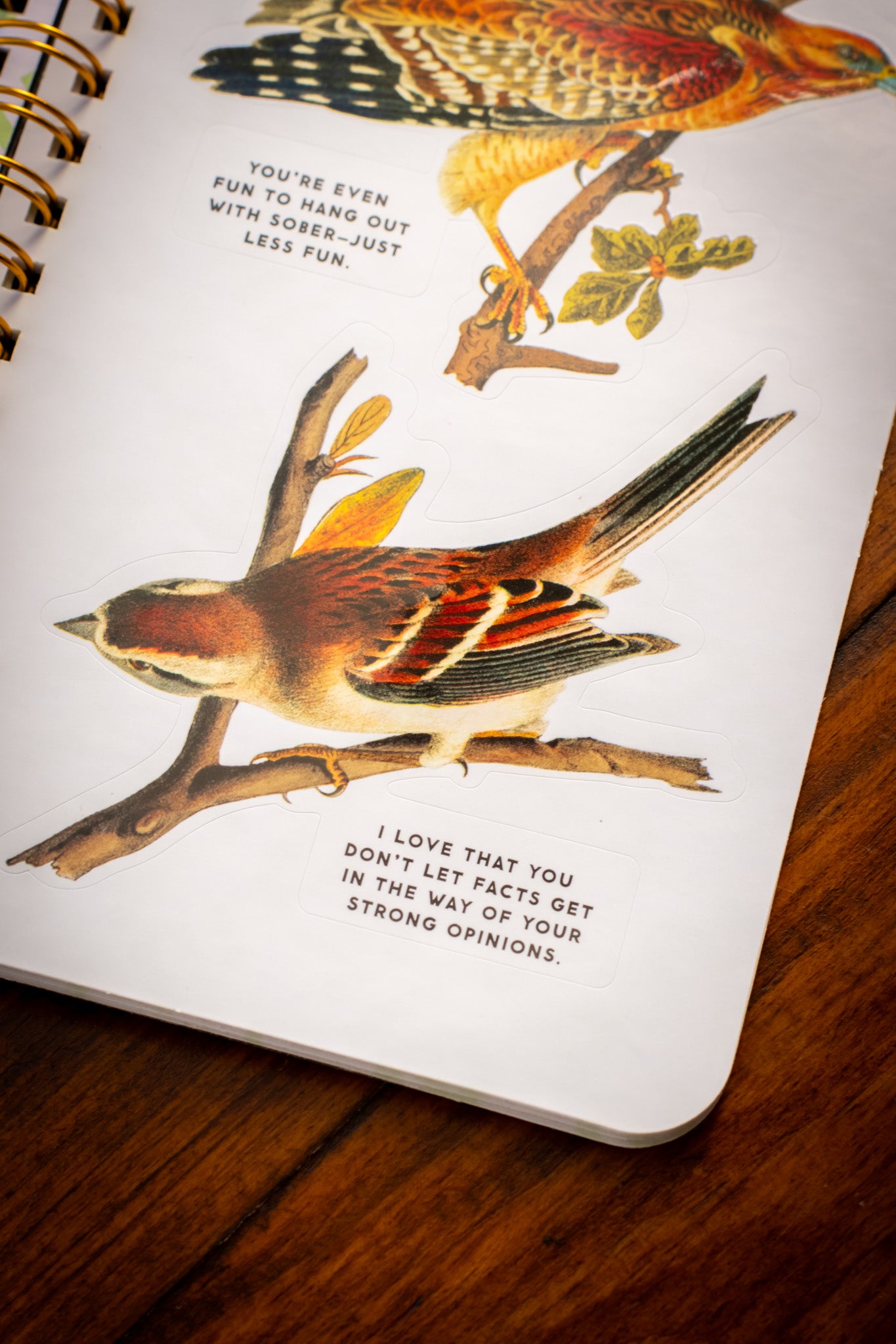 Salty Birds Sticker Book