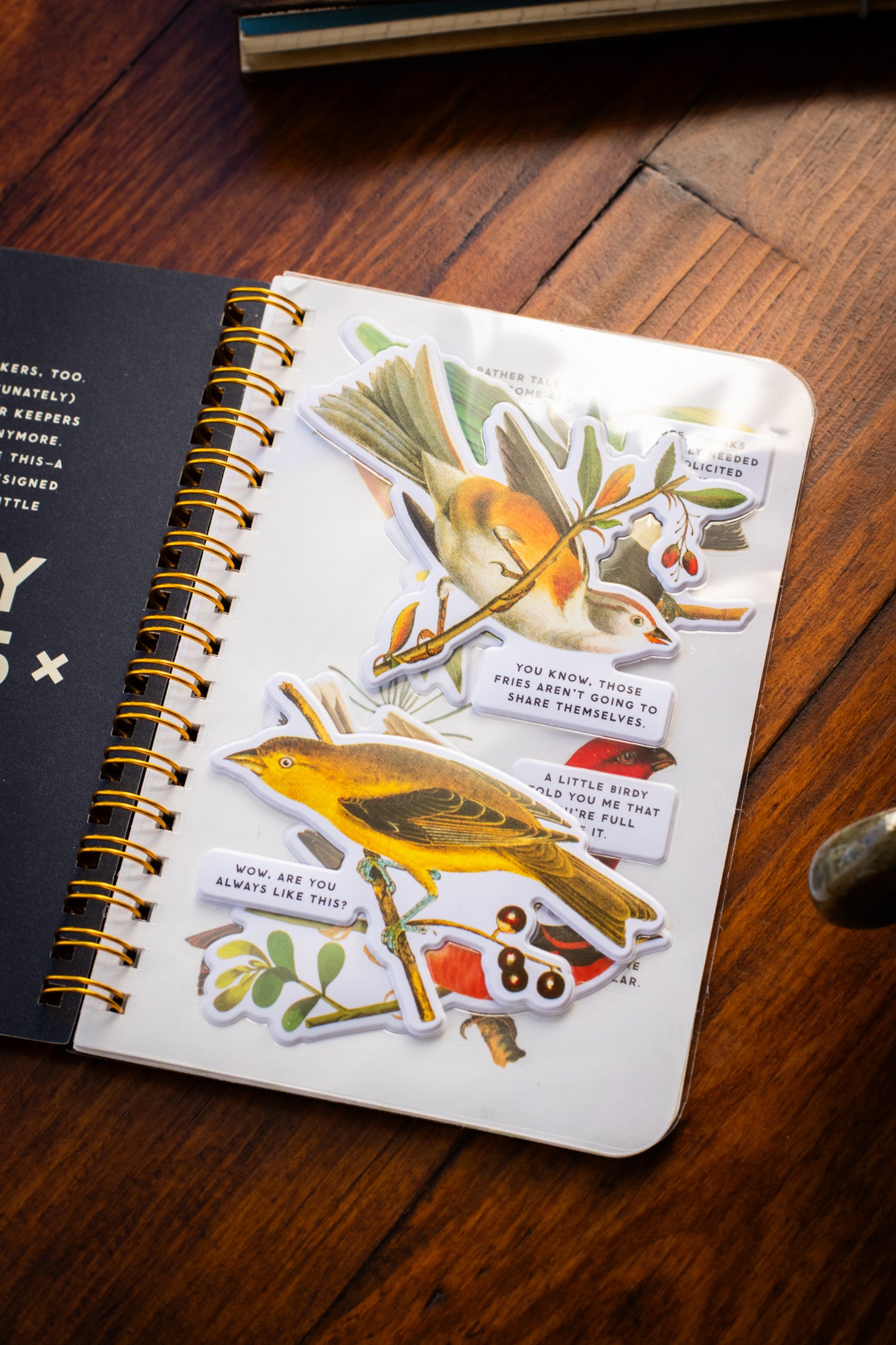 Salty Birds Sticker Book