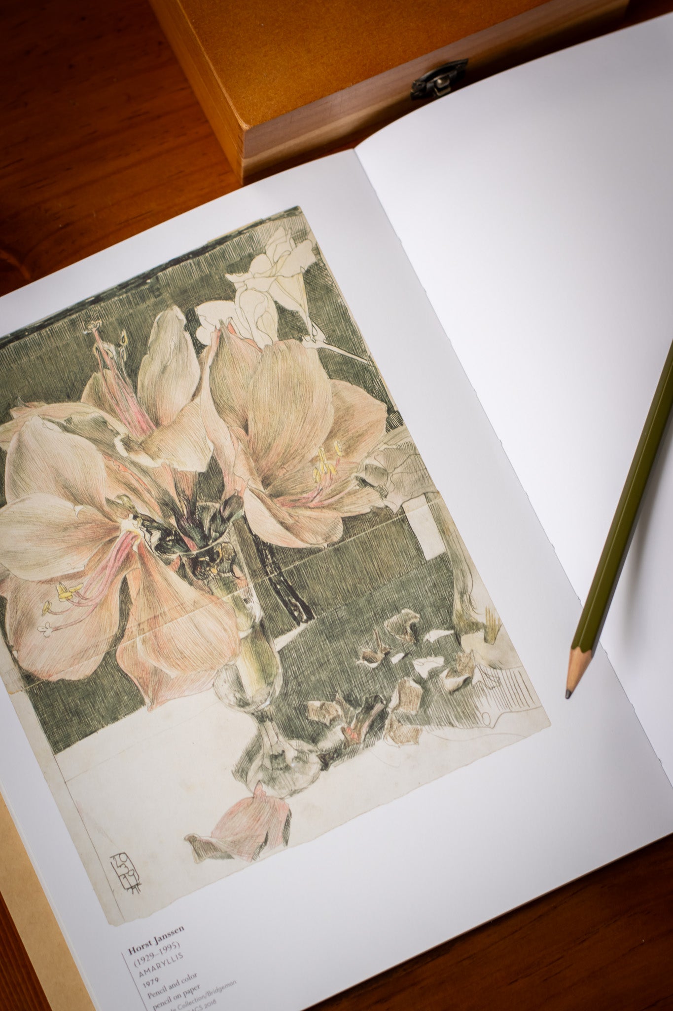 Still-Life Sketchbook