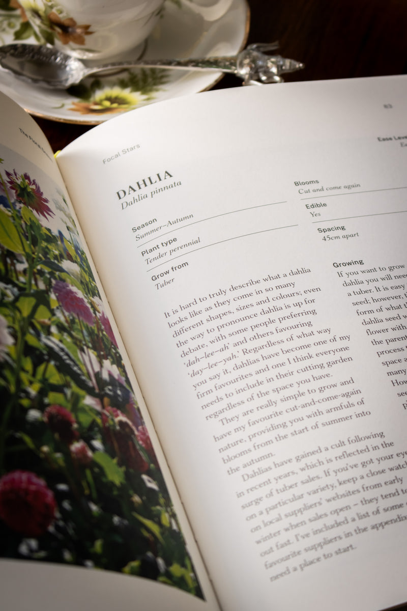 Floral Dream, The