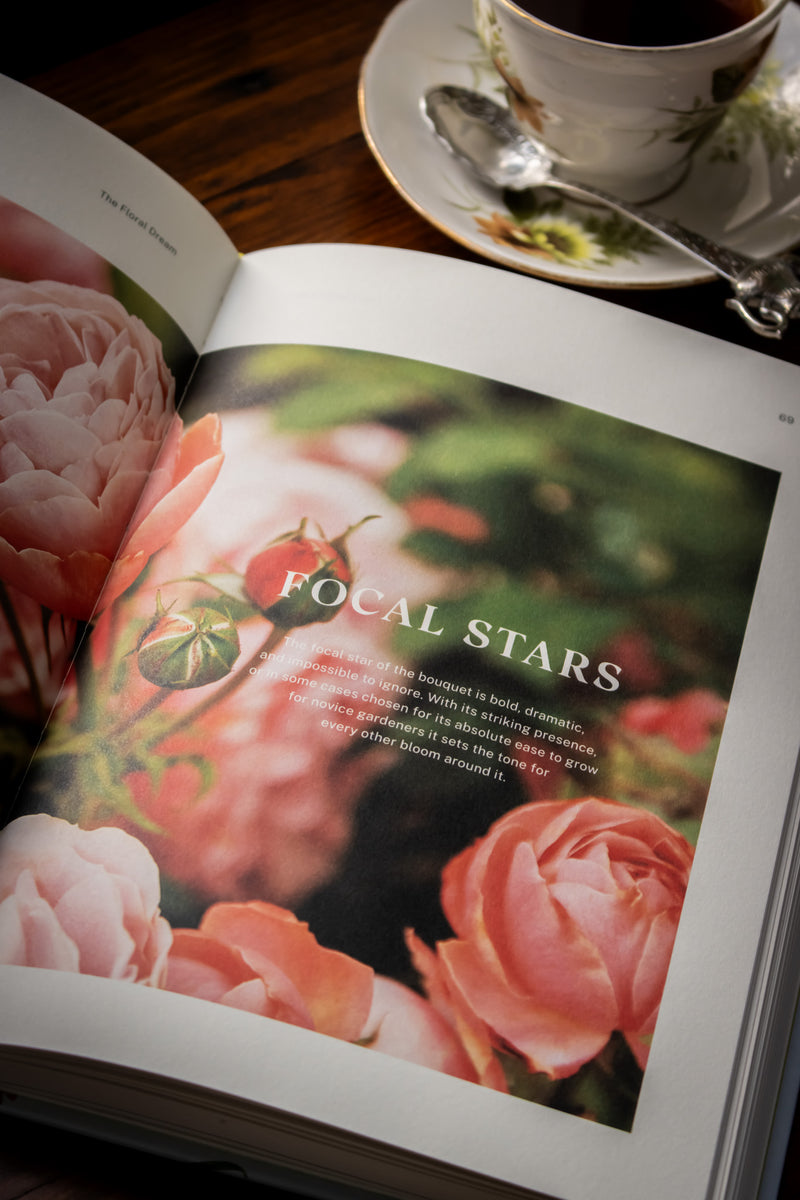 Floral Dream, The