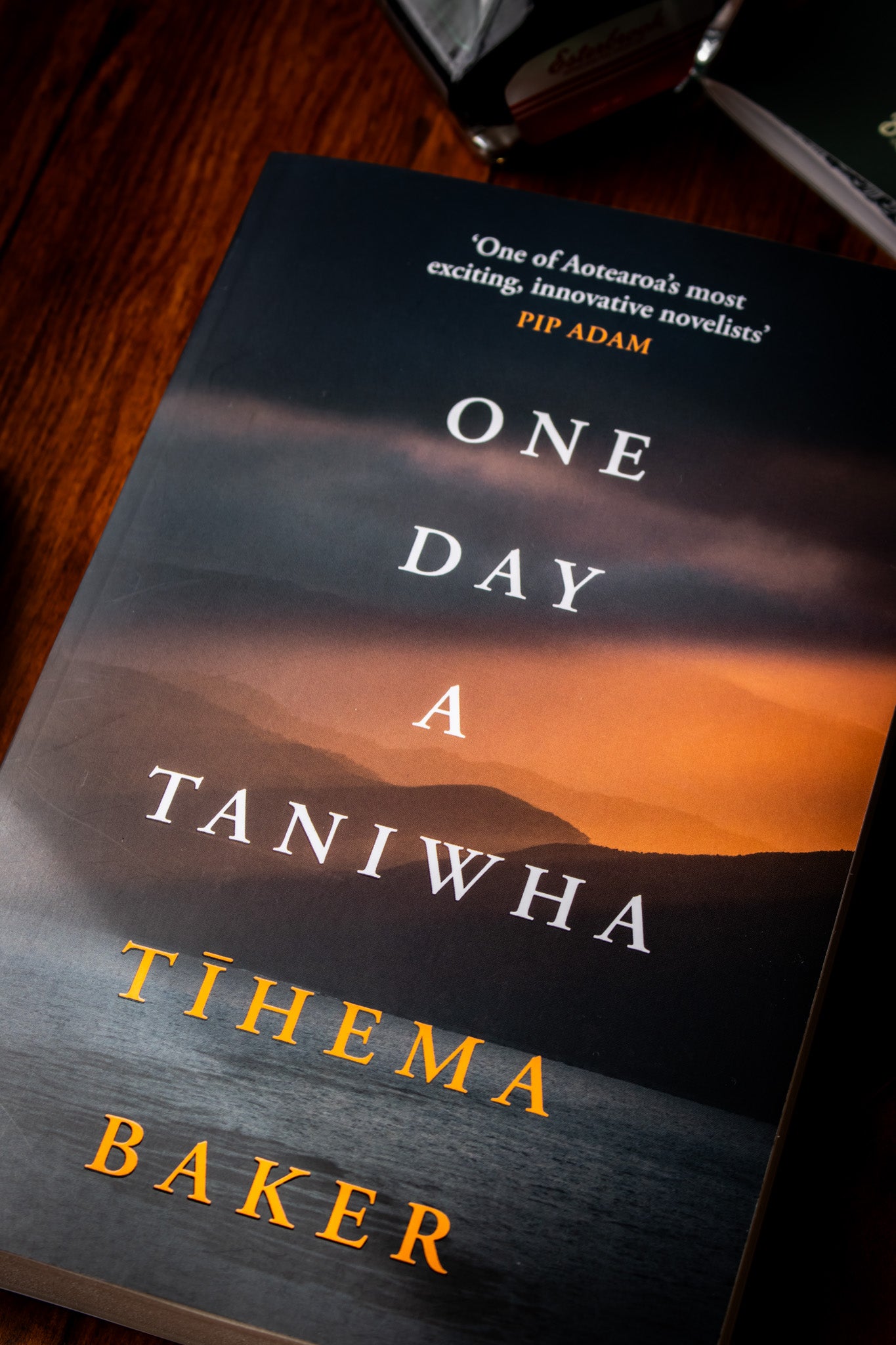 One Day a Taniwha