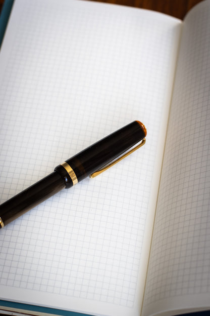 Tomoe River Paper Notebook - Brown