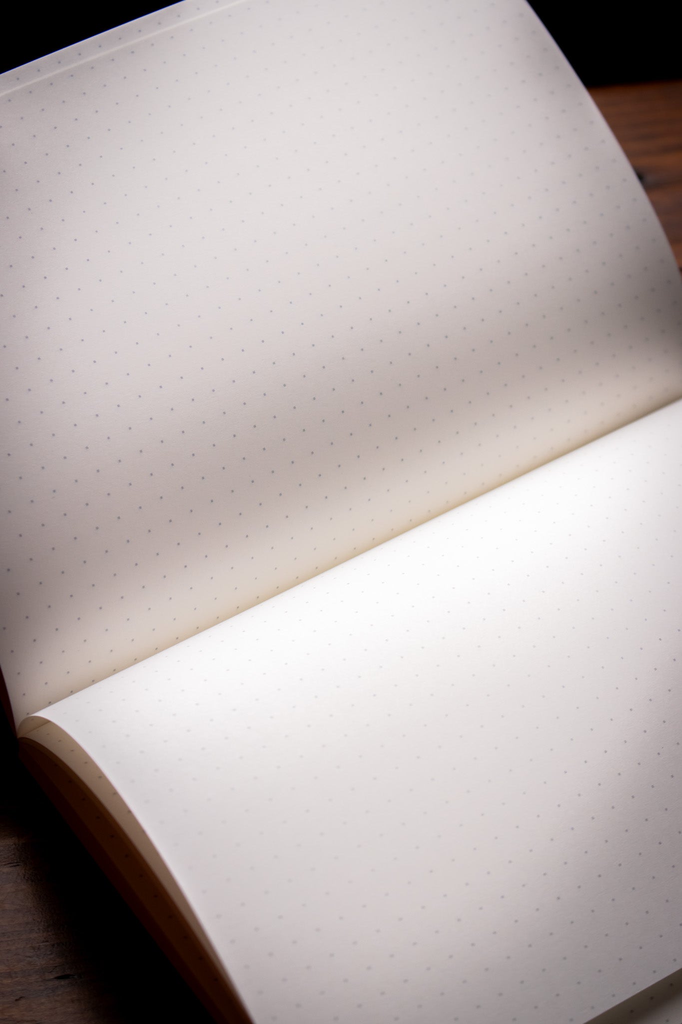 Tomoe River B6 Notebook - 5mm Dot Grid