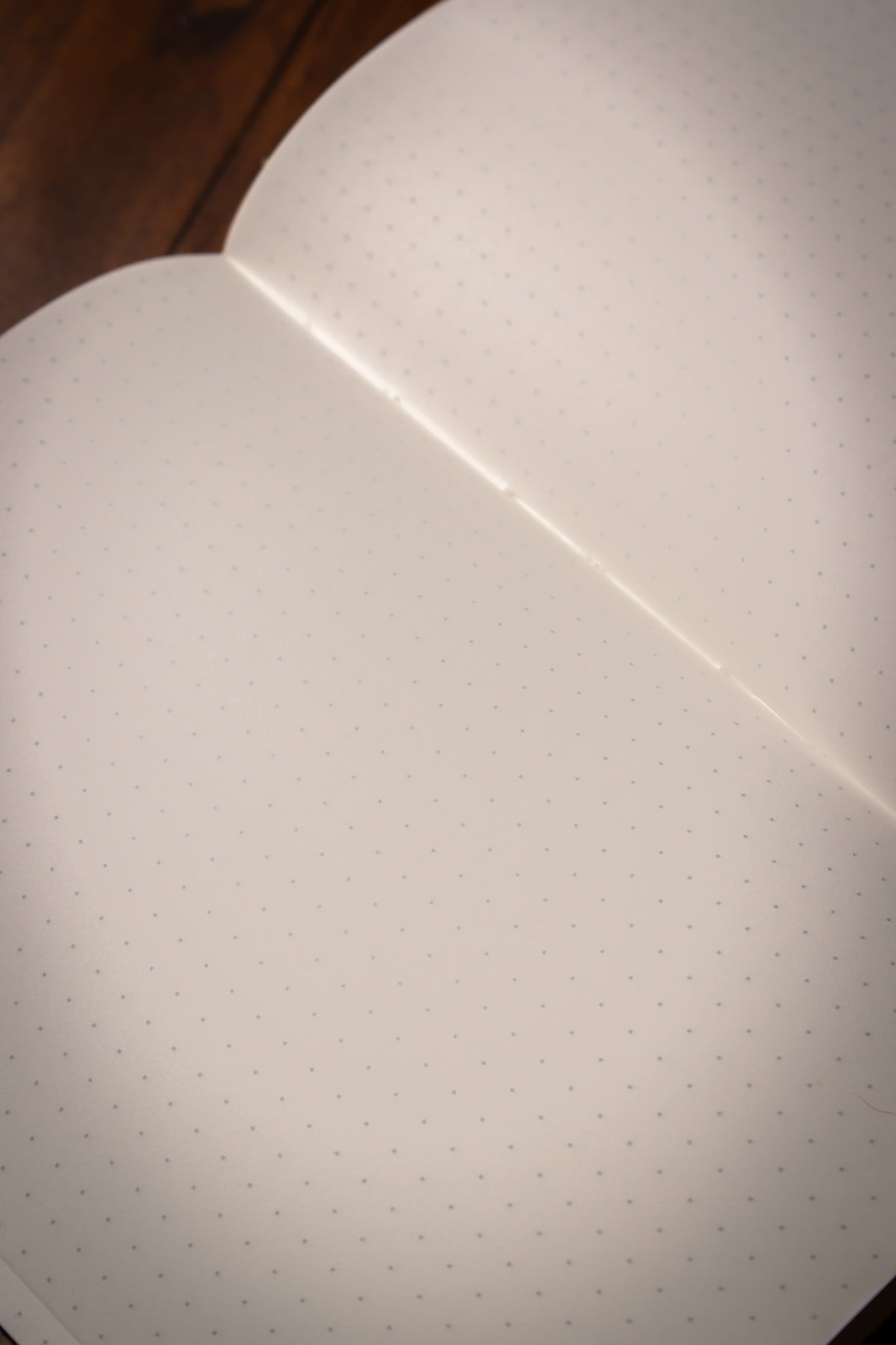 Tomoe River B6 Notebook - 5mm Dot Grid