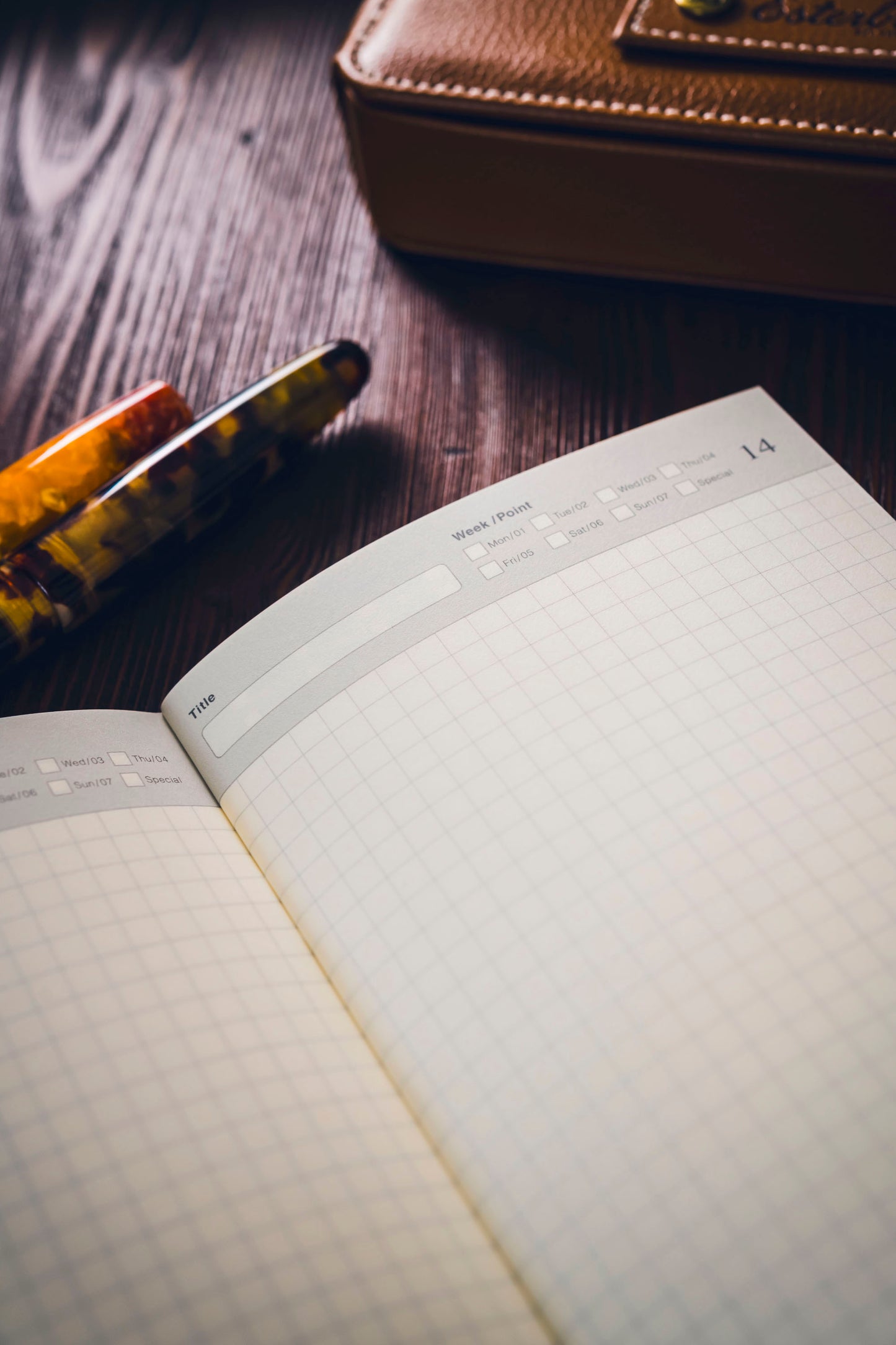 005 TRAVELER'S Free Diary - Daily