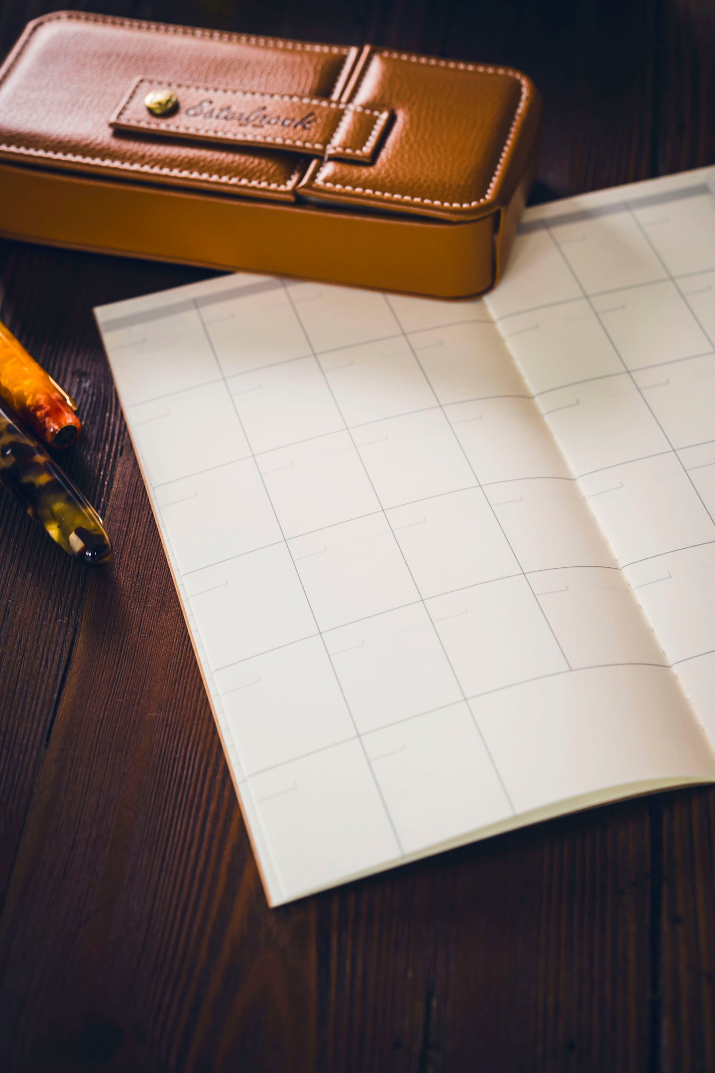 017 TRAVELER'S Free Diary - Monthly