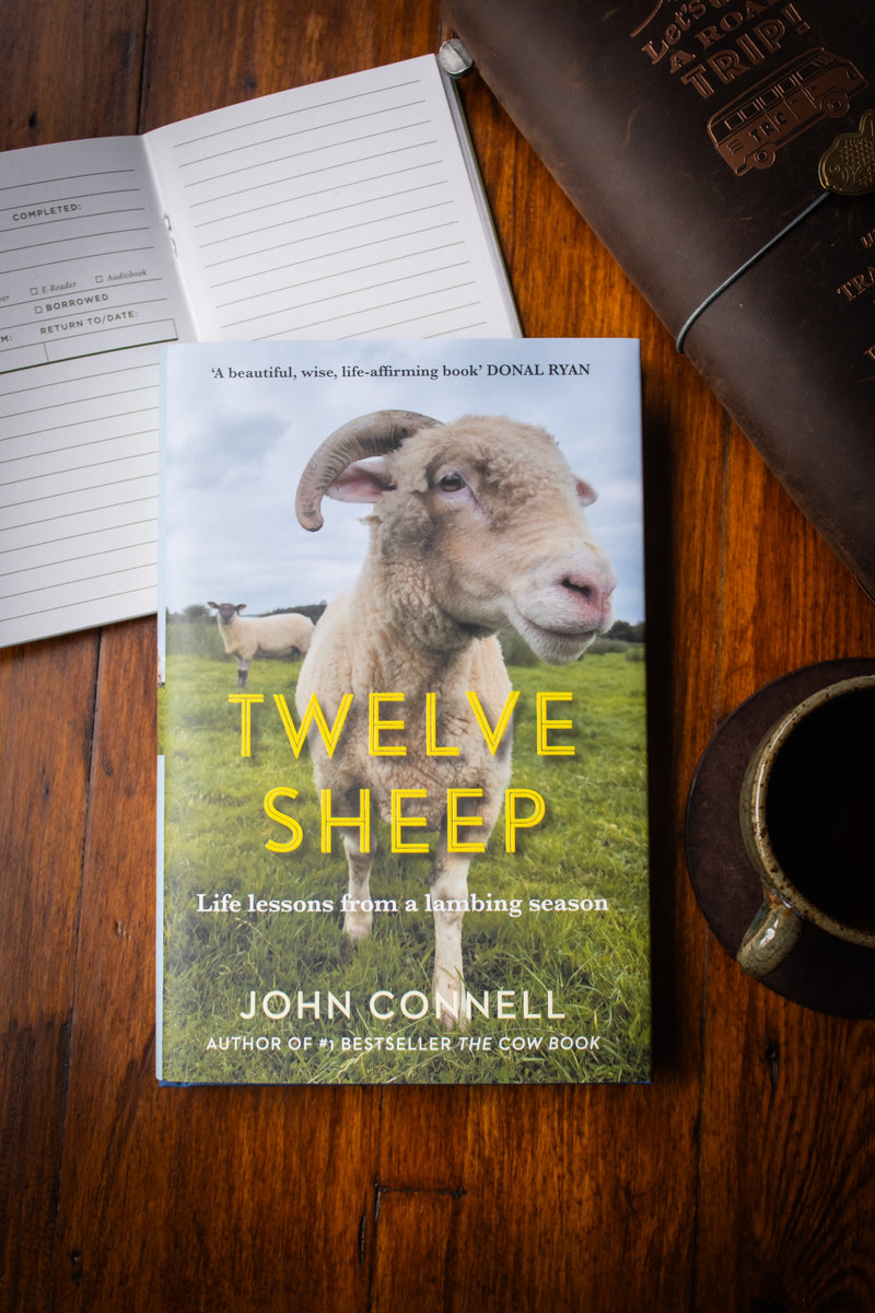 Twelve Sheep