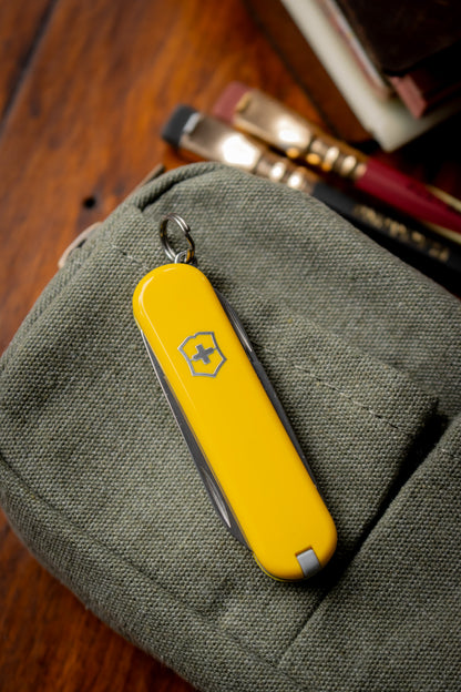 Pocket Knife - Sunny Side