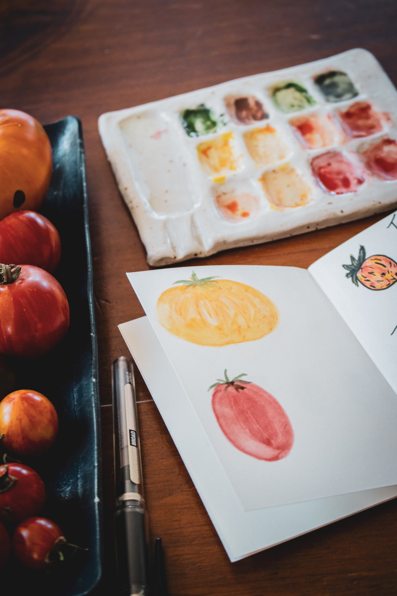 015 TRAVELER'S Watercolour Refill (Passport)