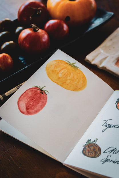 015 TRAVELER'S Watercolour Refill (Passport)