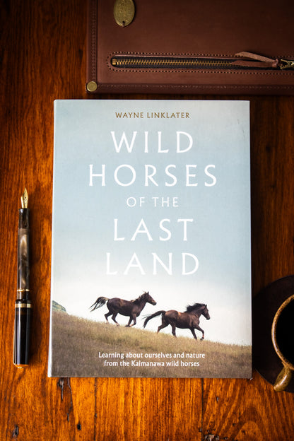 Wild Horses of the Last Land