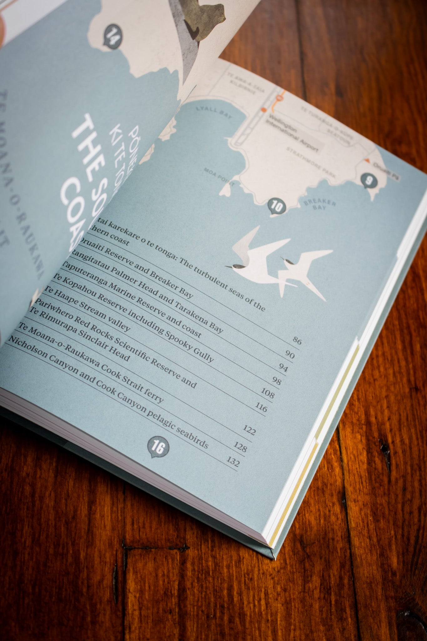 Wild Wellington Ngā  Taonga Taiao