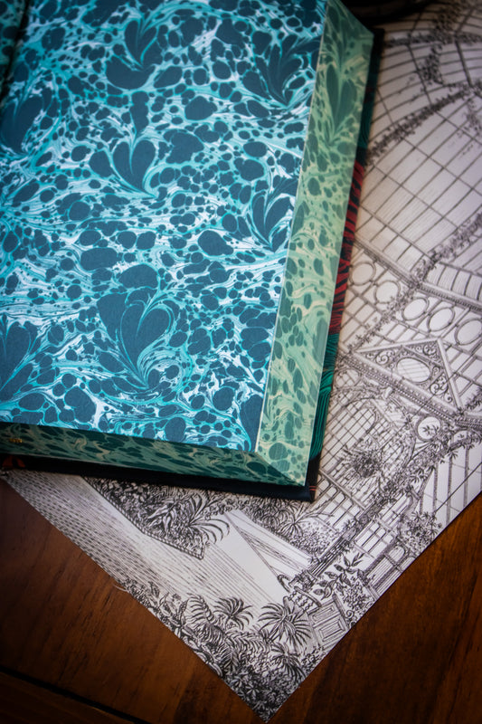 Wuthering Heights (Special Edition)