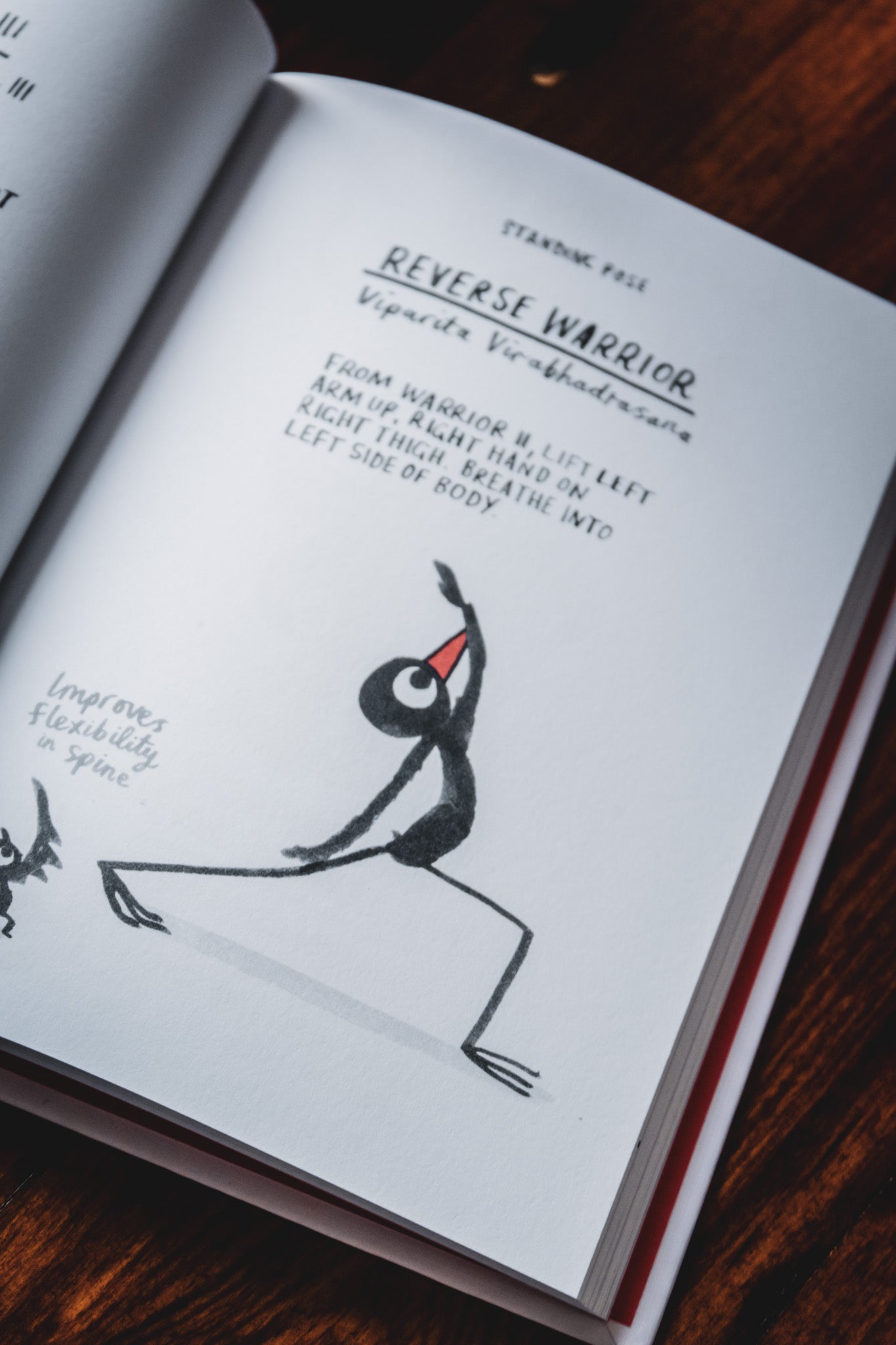 Yoga for Stiff Birds