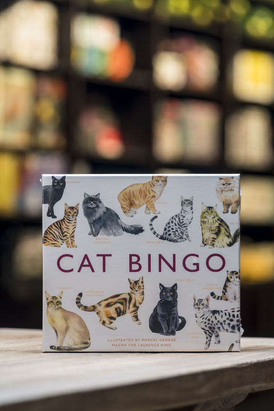 Cat Bingo