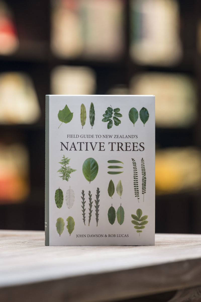 Field Guide To NZ Native Trees