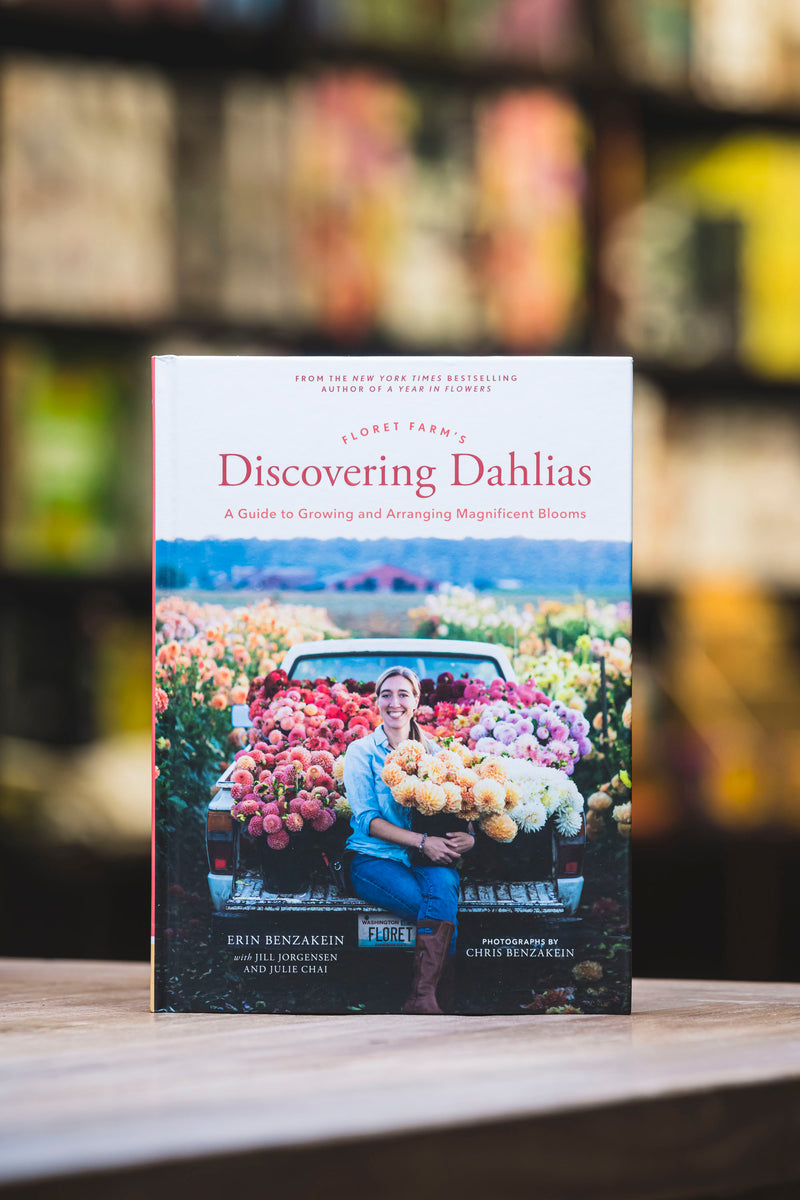 Discovering Dahlias