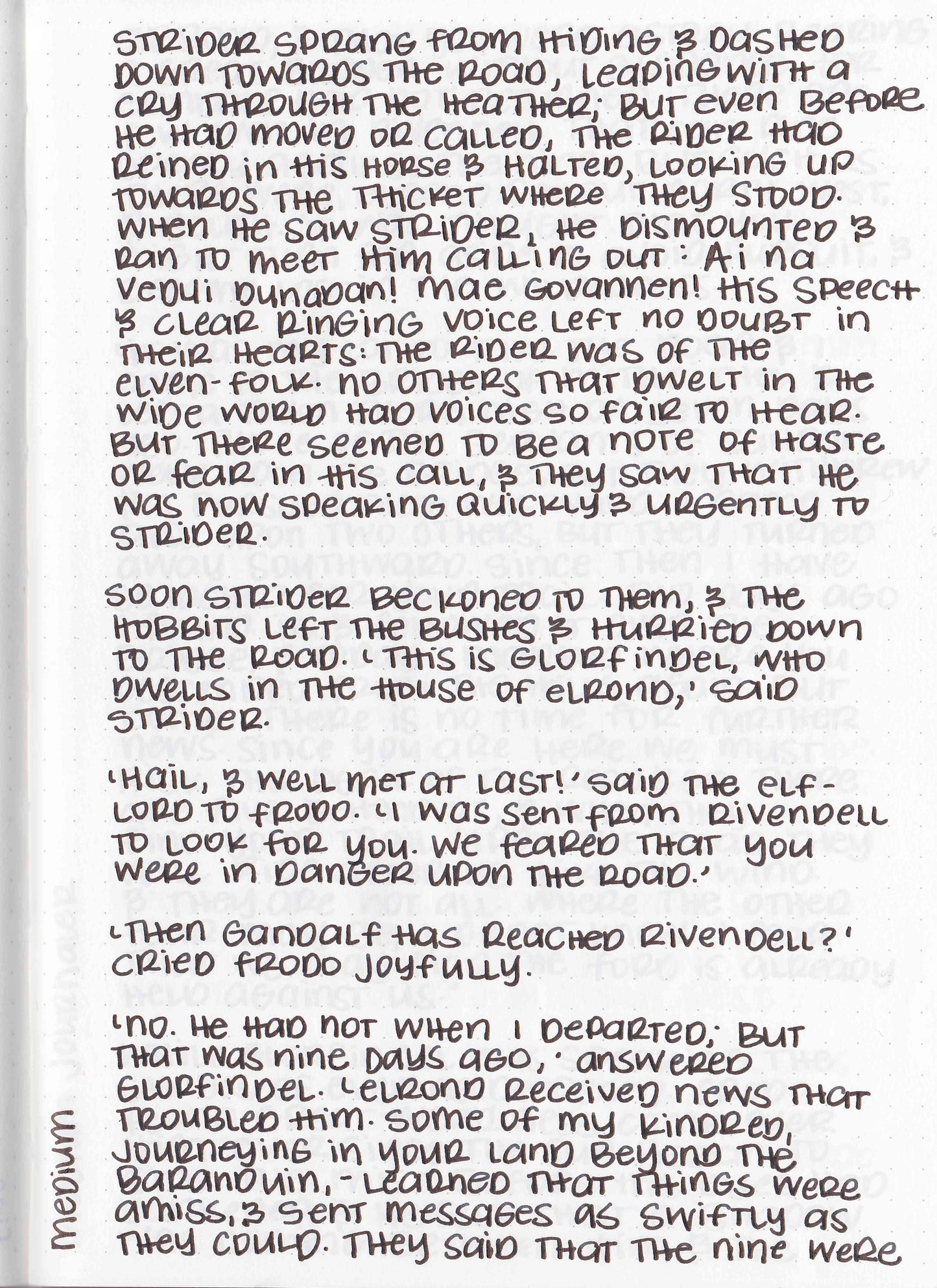 Estie Fountain Pen Nibs