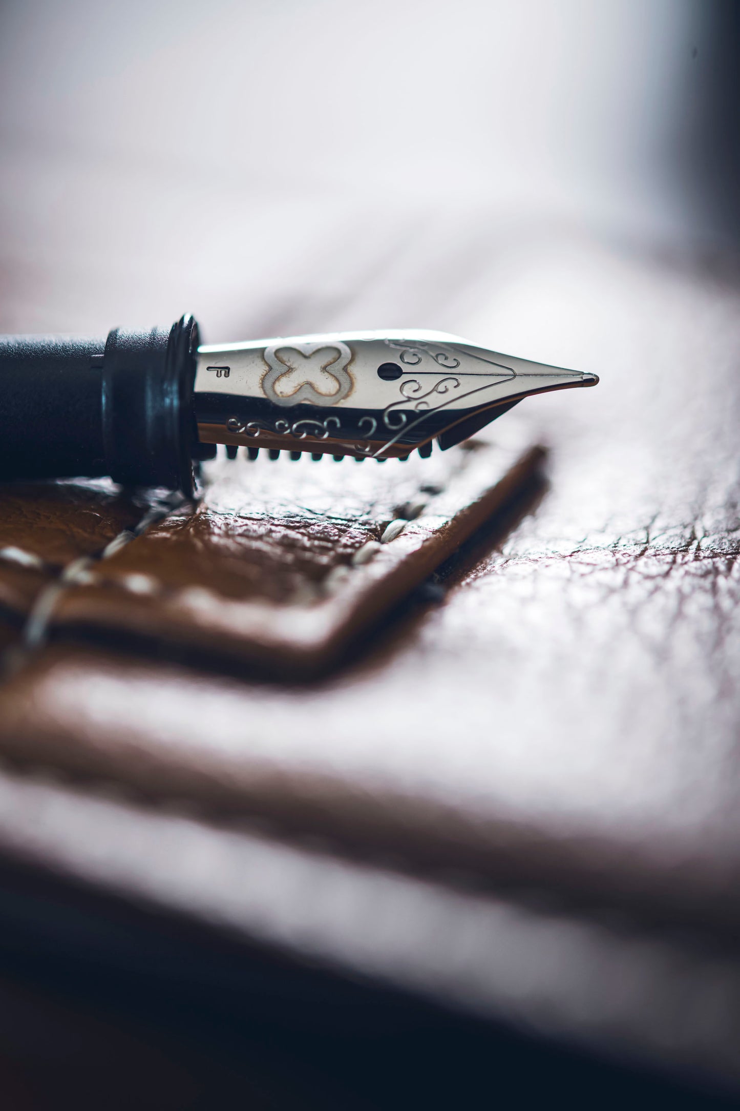 Estie Fountain Pen Nibs