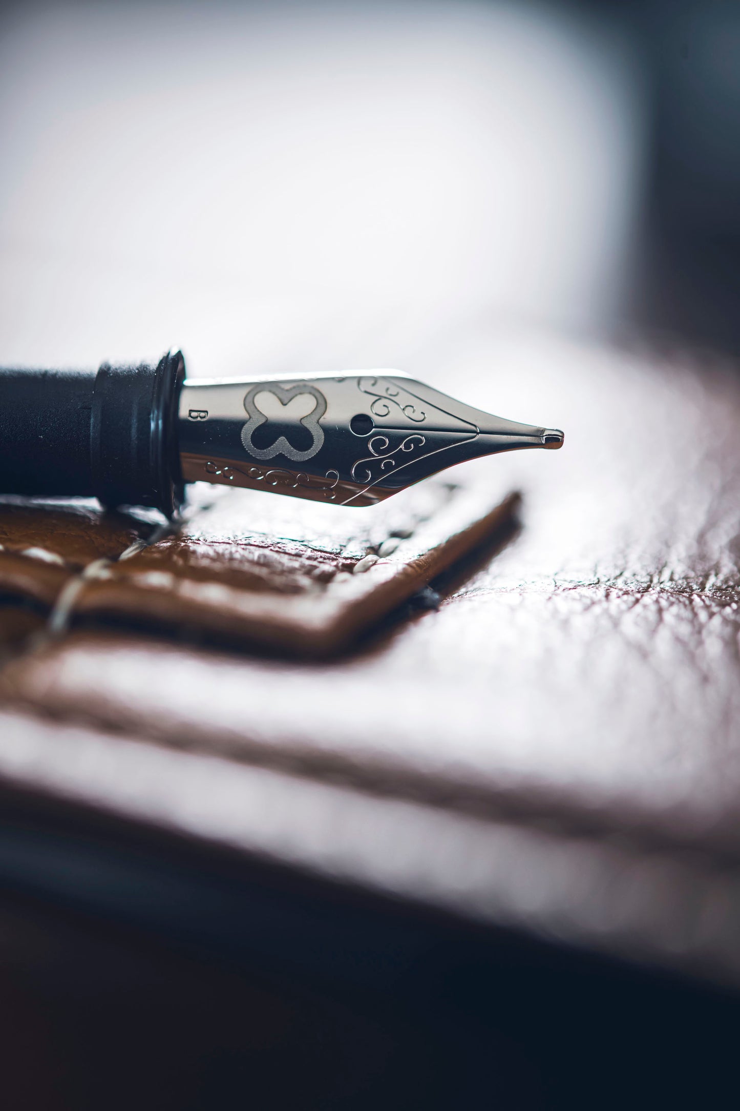 Estie Fountain Pen Nibs