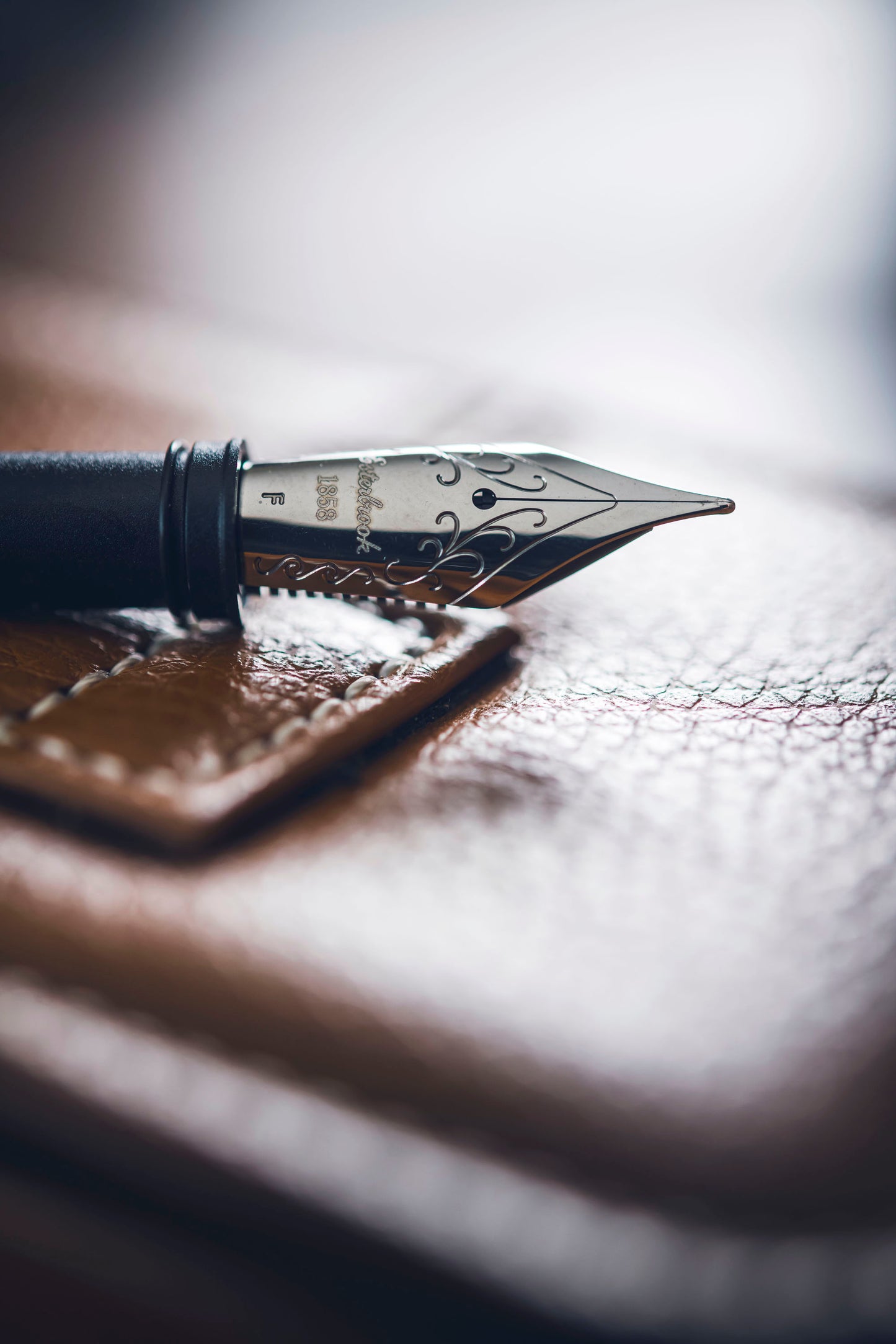 Estie Fountain Pen Nibs