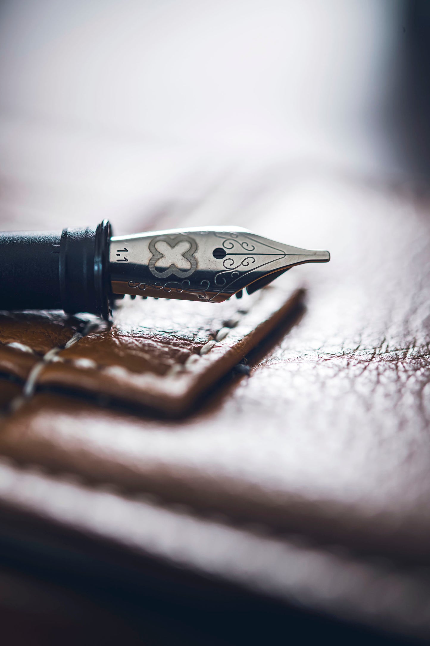 Estie Fountain Pen Nibs