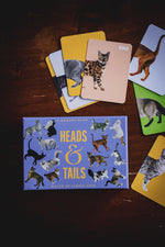 Heads & Tails: Cat Memory Cards