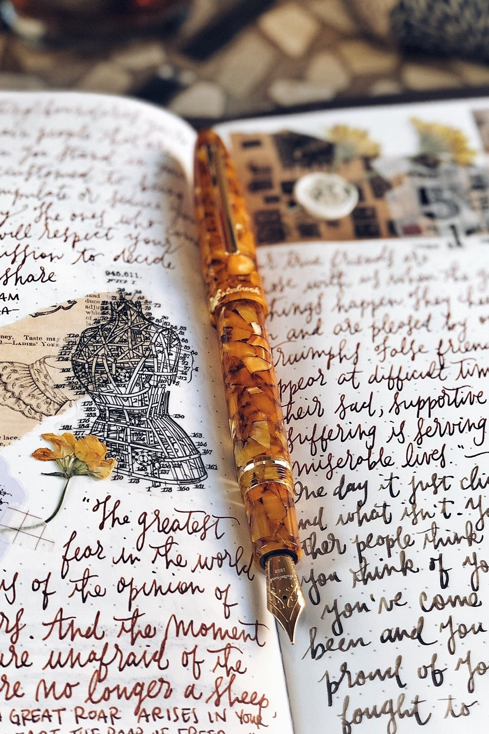 Estie Honeycomb - Gold Trim