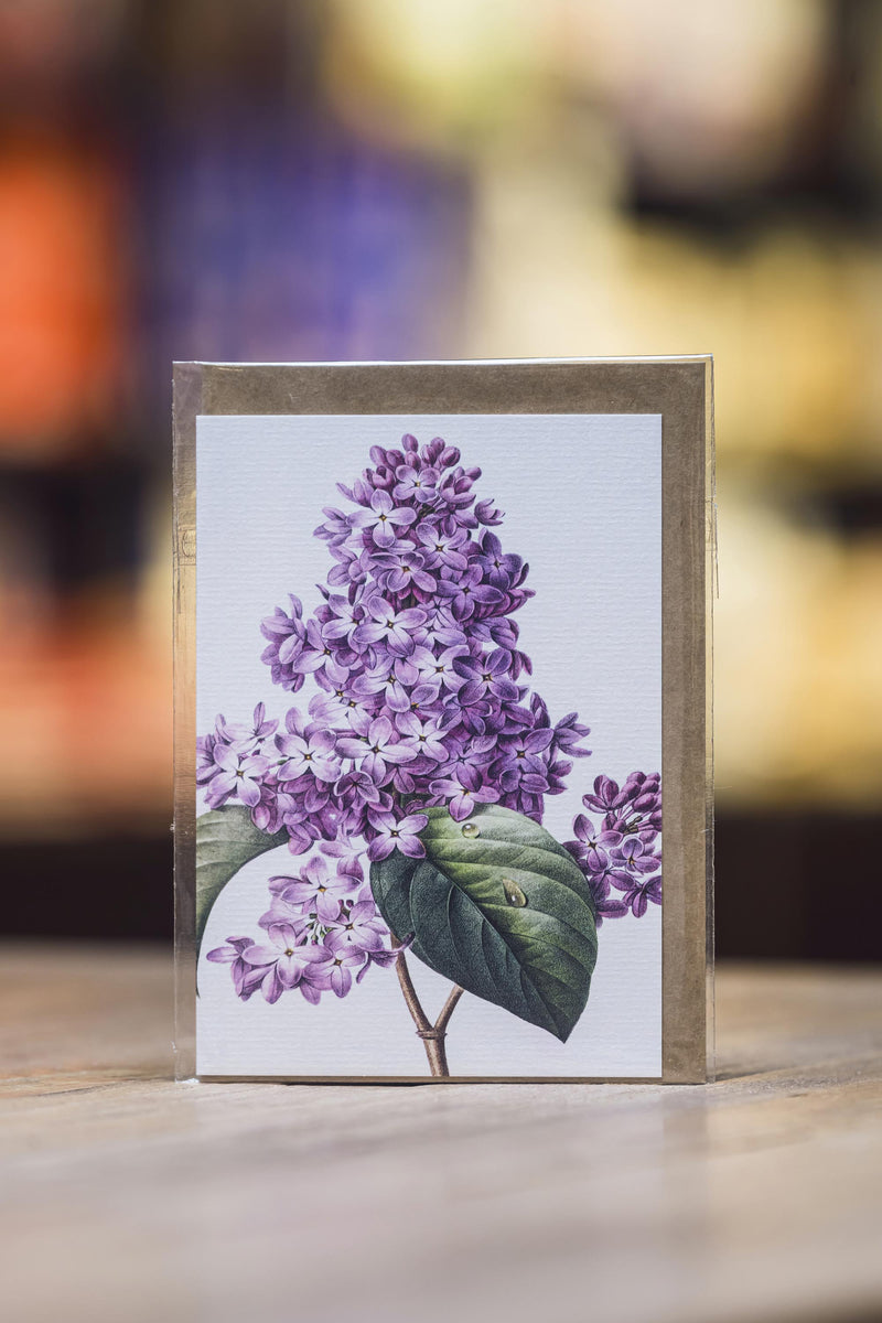 Vintage Botanical - Lilac
