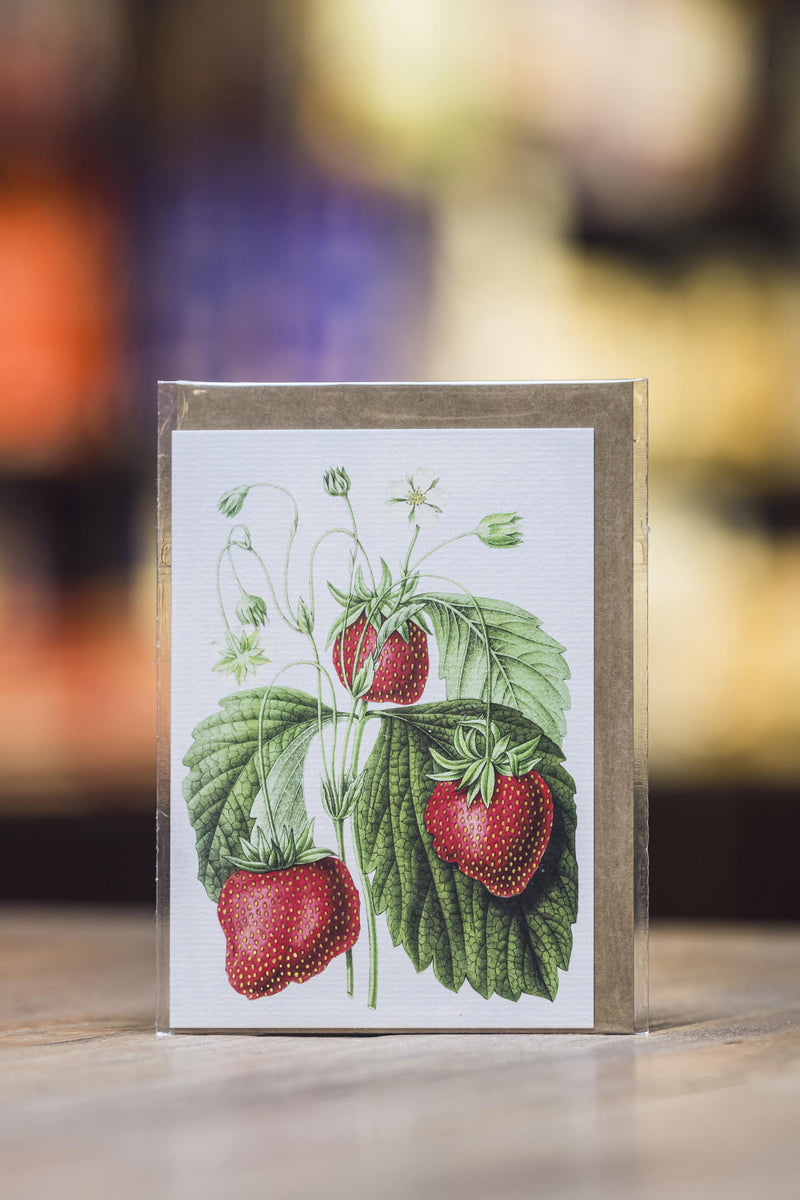 Vintage Botanical - Strawberries