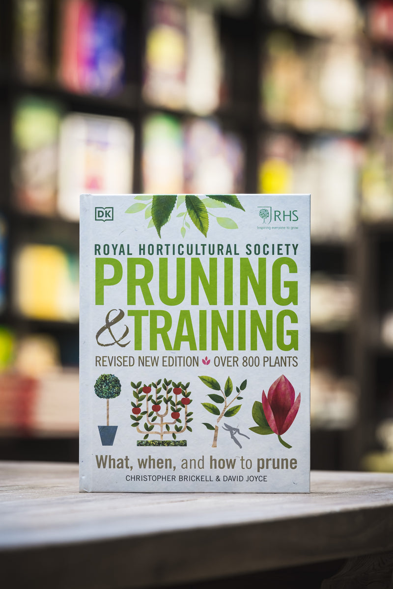 RHS Pruning & Training
