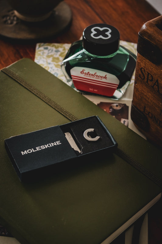 Moleskine Pins C Silver