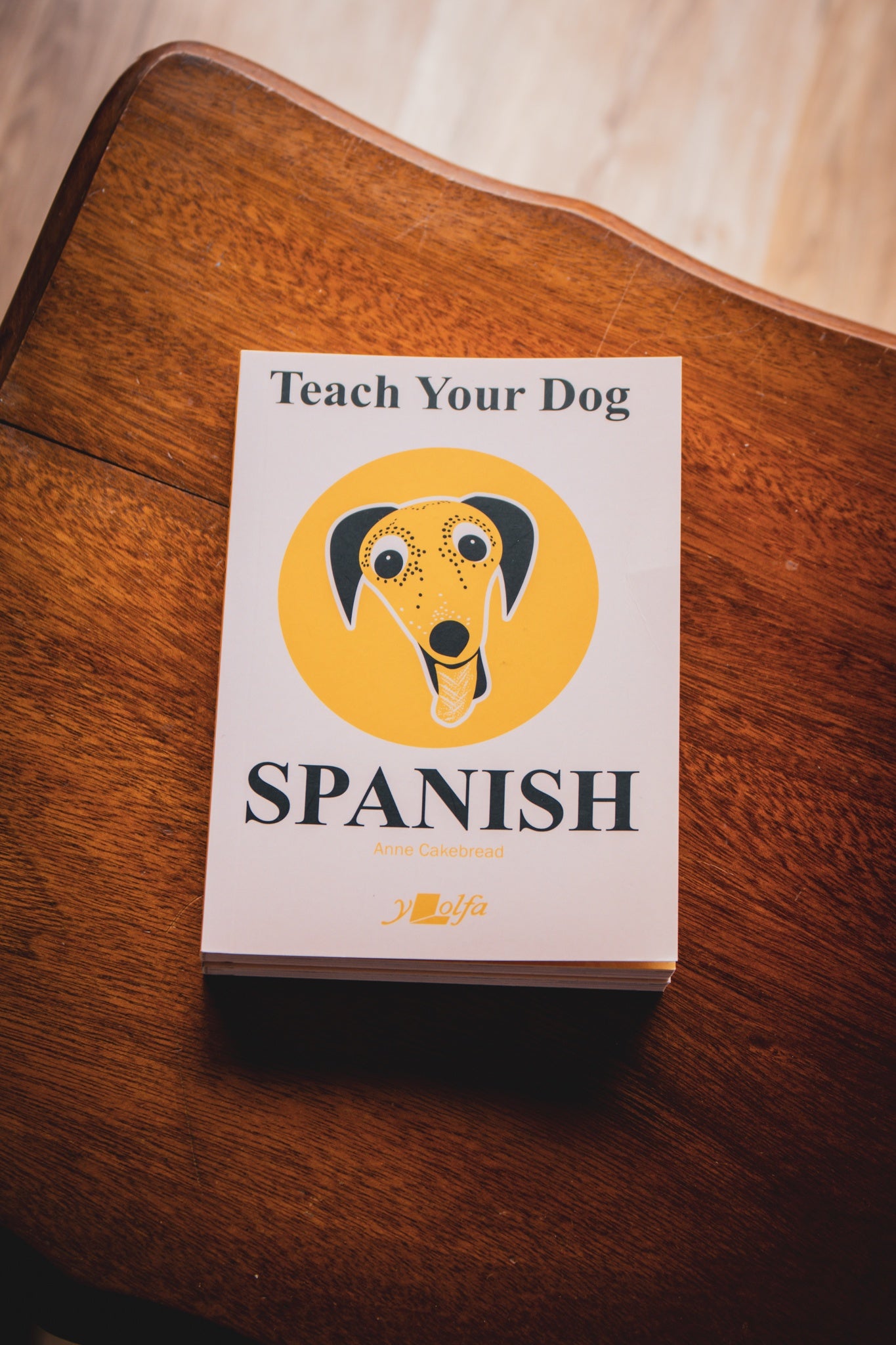 Teach Your Dog Spanish