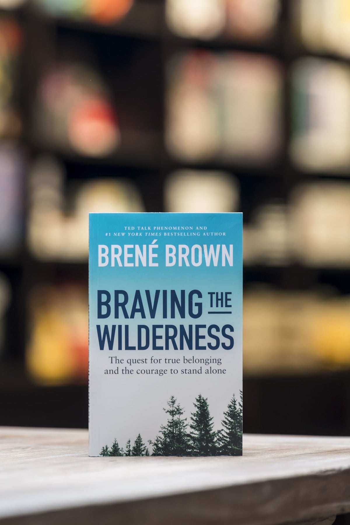 Braving The Wilderness